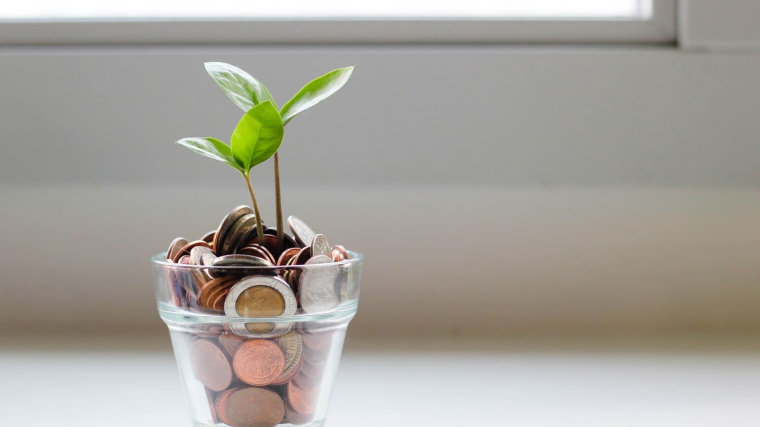 Is it worth getting a Financial Coach?